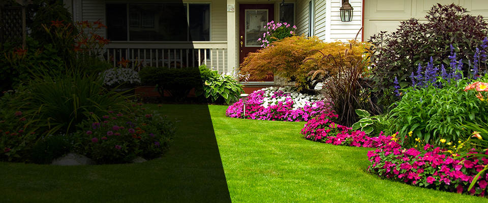 Roy Landscapers