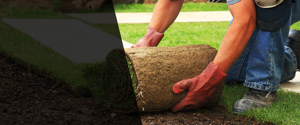 Roy Landscapers
